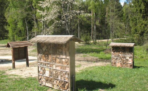 48_Seires takas. Vabalu nameliai.ABrazdeikytes n.jpg